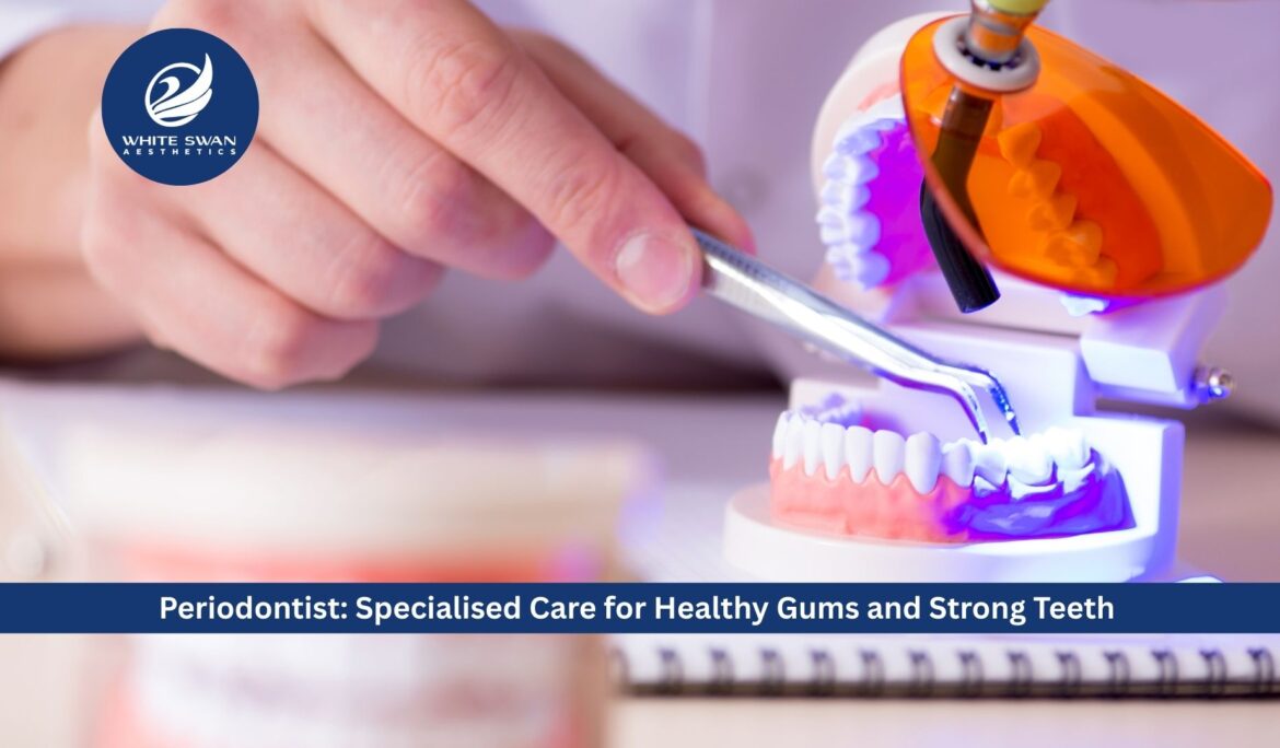 Periodontist: Specialised Care for Healthy Gums and Strong Teeth
